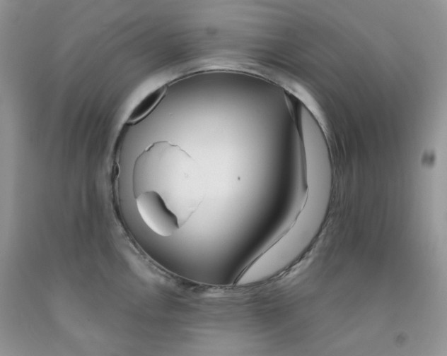 X0000091511146200709141350