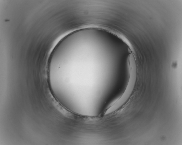 X0000091511148200709141350