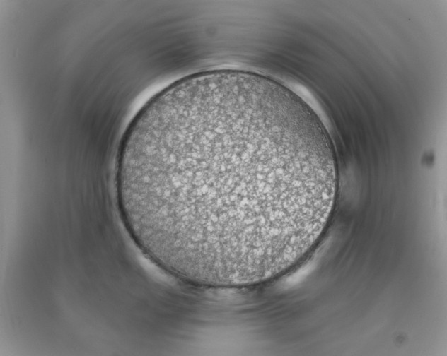 X0000091511149200709141350