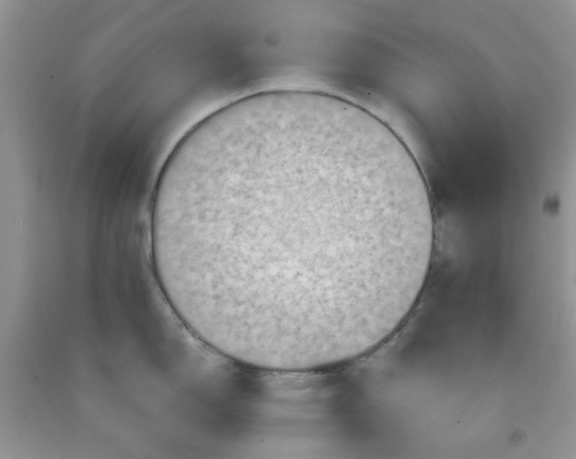 X0000091511150200709141350