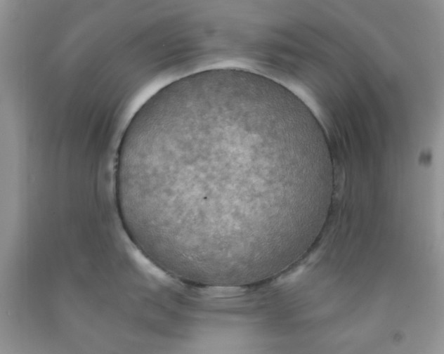 X0000091511151200709141350