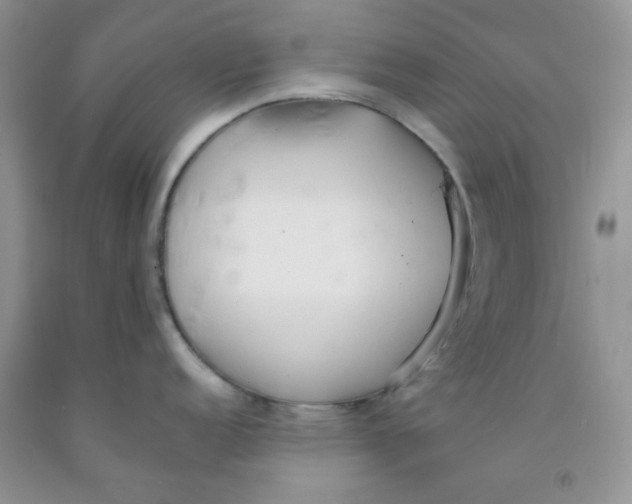 X0000091511152200709141350