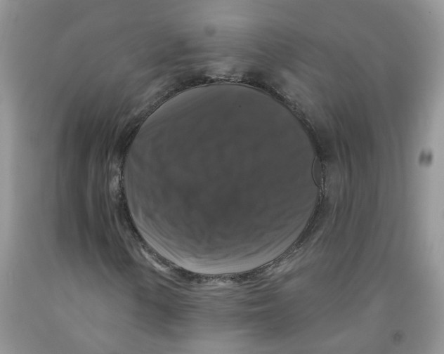 X0000091511154200709141349