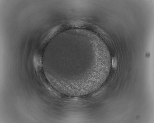 X0000091511155200709141349