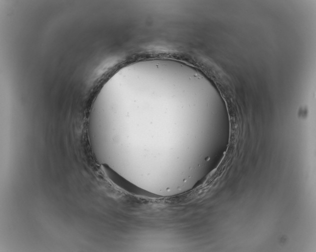 X0000091511157200709141349