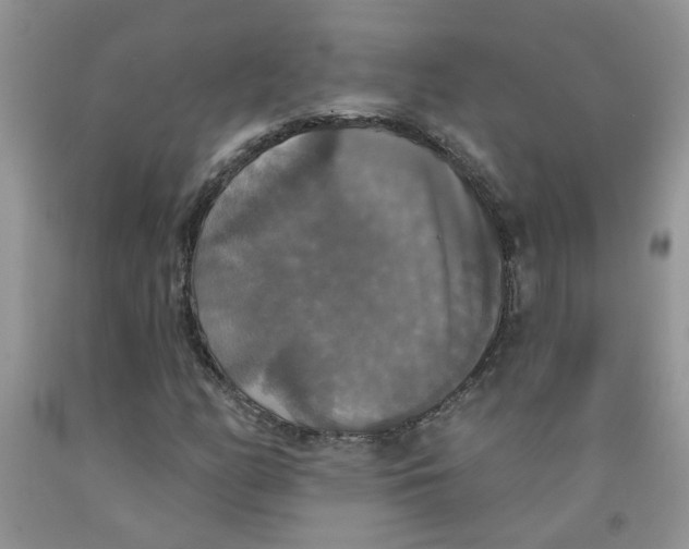 X0000091511158200709141349