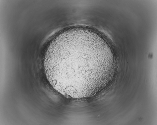 X0000091511159200709141349