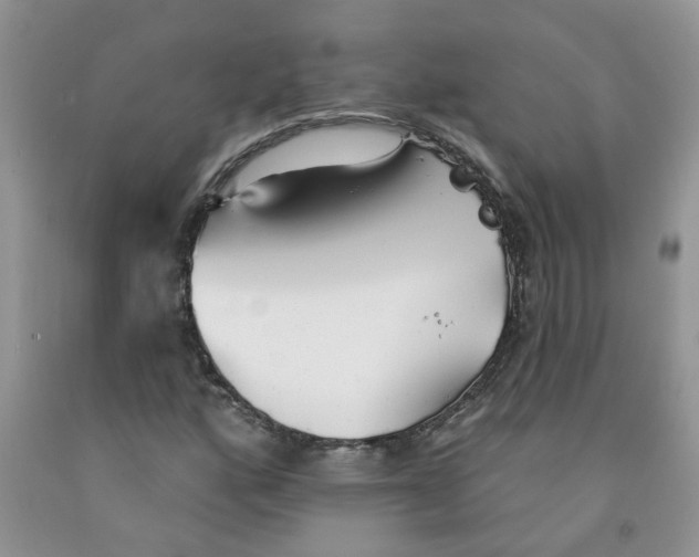 X0000091511160200709141349