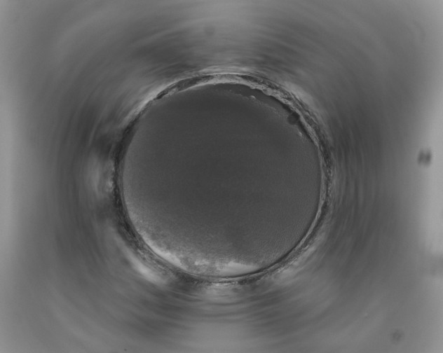 X0000091511161200709141349