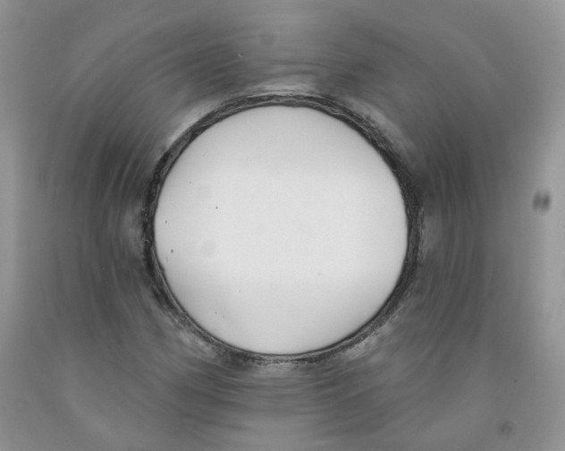 X0000091511162200709141349