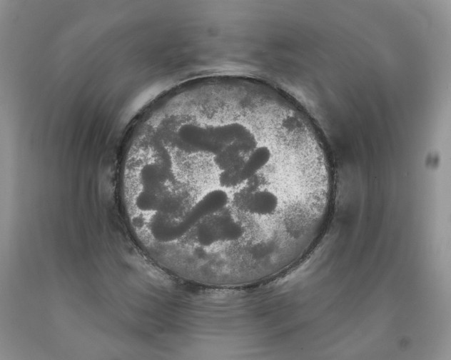 X0000091511163200709141349