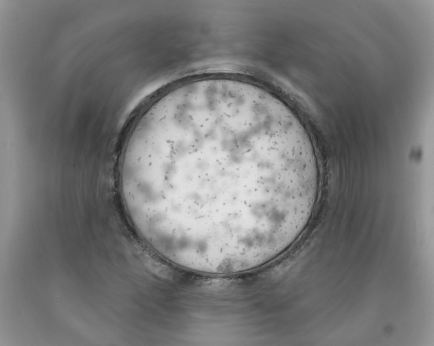 X0000091511166200709141349