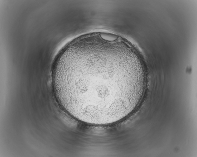 X0000091511167200709141349