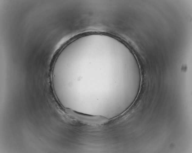 X0000091511168200709141349