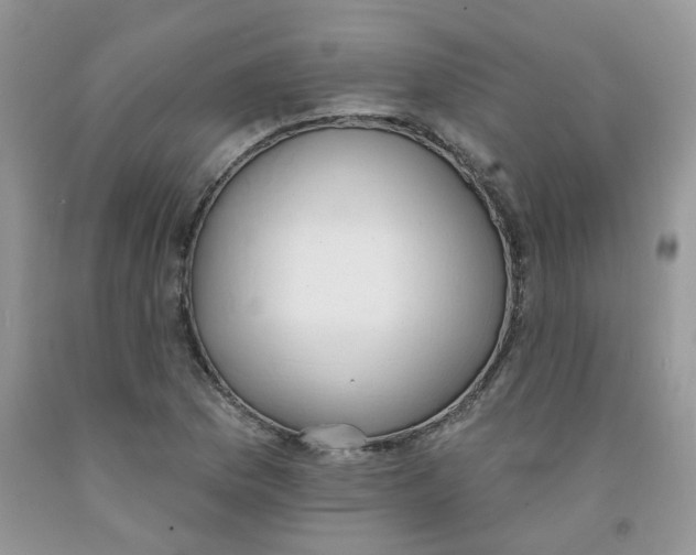 X0000091511169200709141349