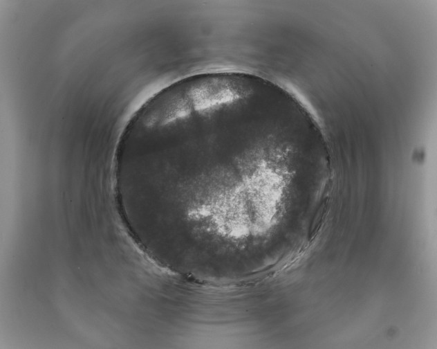 X0000091511173200709141349