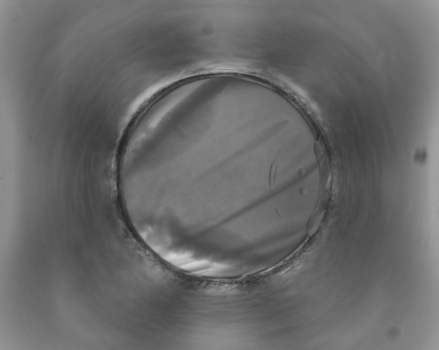 X0000091511174200709141349