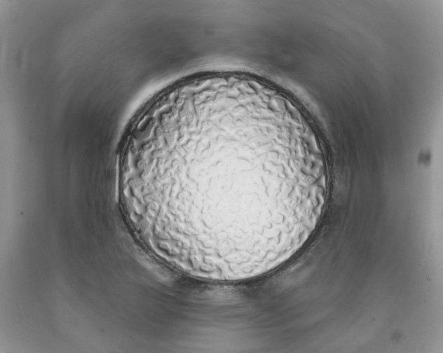 X0000091511175200709141349