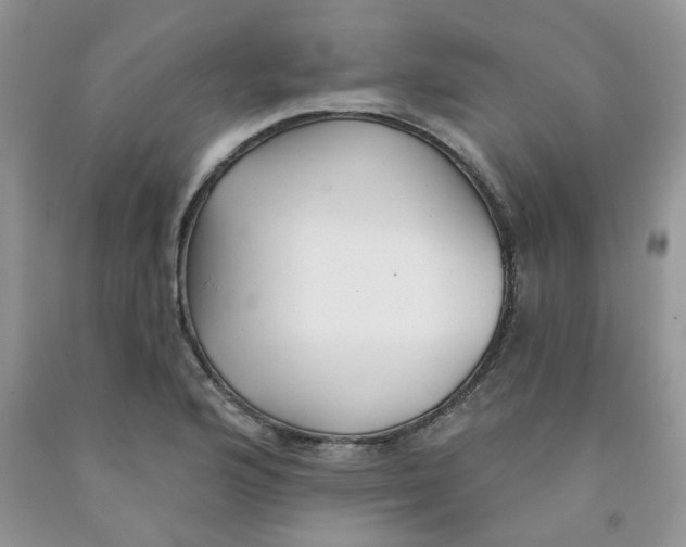 X0000091511176200709141349