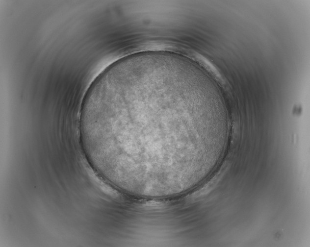 X0000091511178200709141349