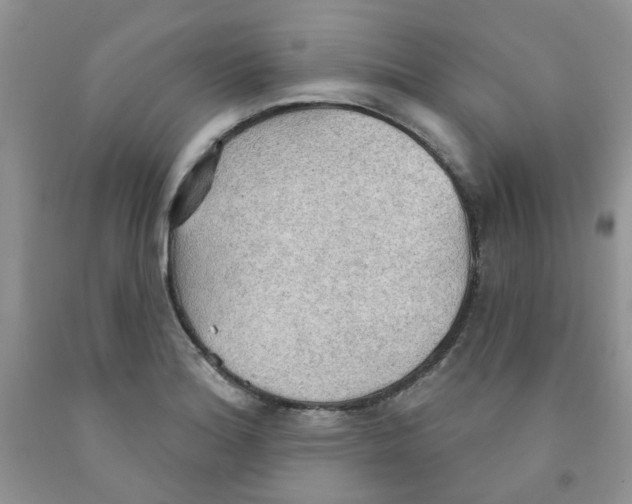 X0000091511180200709141349