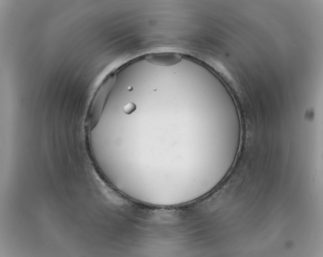 X0000091511181200709141349