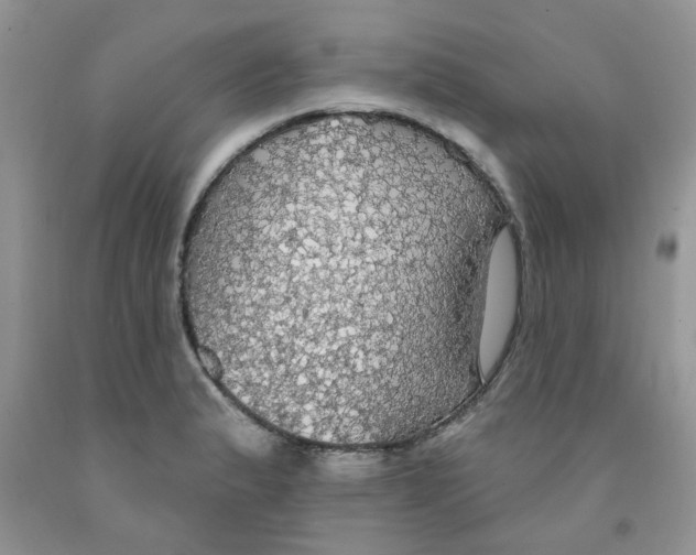 X0000091511183200709141349