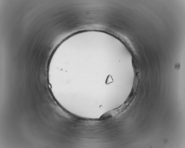 X0000091511184200709141349