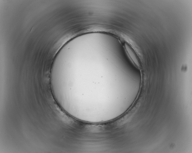 X0000091511185200709141349