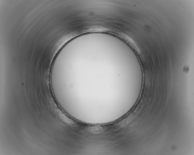 X0000091511186200709141349