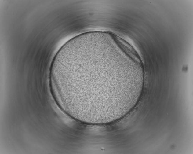 X0000091511187200709141349