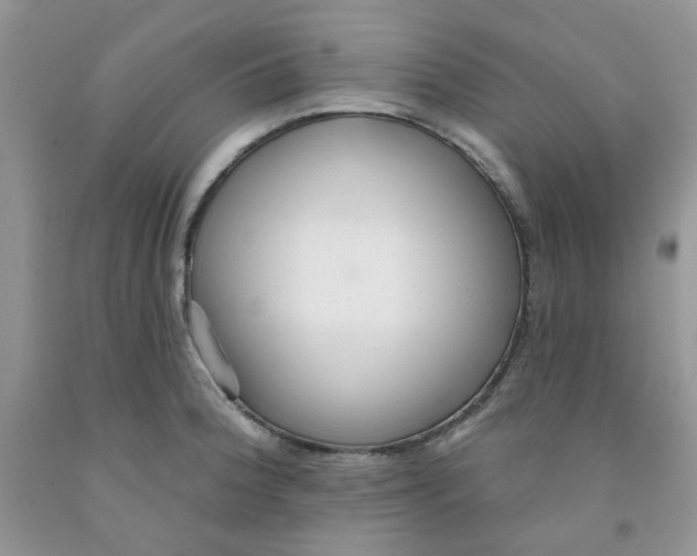 X0000091511188200709141349