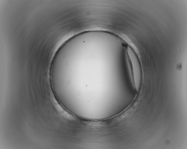 X0000091511189200709141349