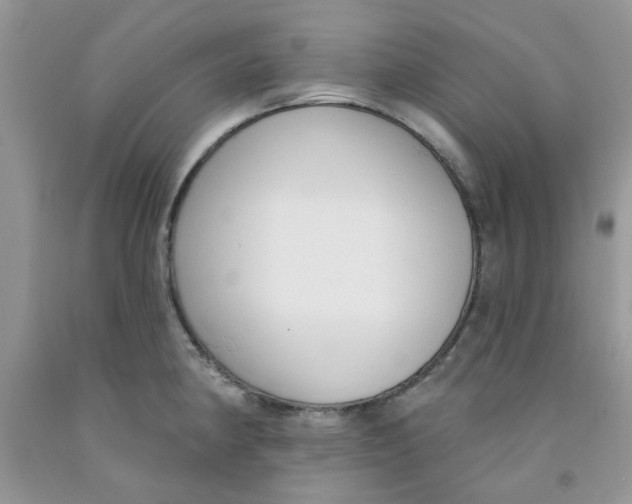 X0000091511190200709141349