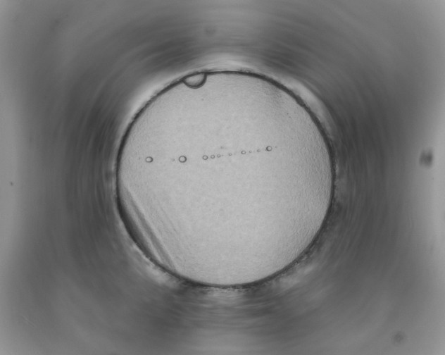 X0000091511191200709141349