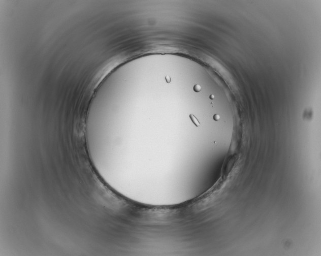 X0000091511193200709141349