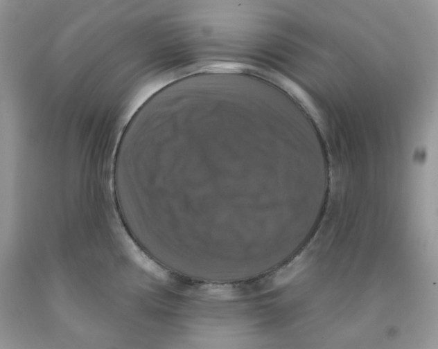 X0000091511194200709141349