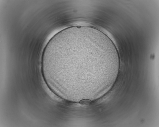 X0000091511195200709141349