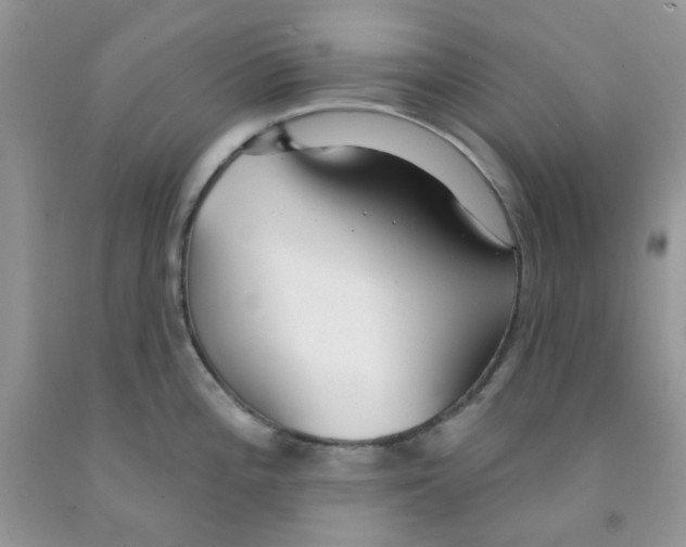 X0000091511196200709141349