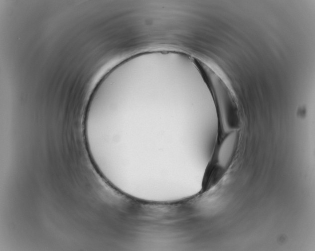 X0000091511197200709141349