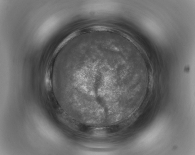 X0000091511198200709141349