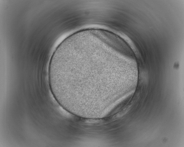 X0000091511199200709141349