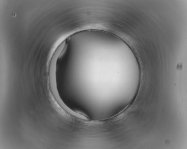 X0000091511200200709141348