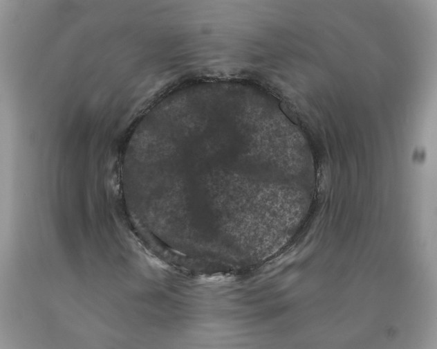 X0000091511202200709141348