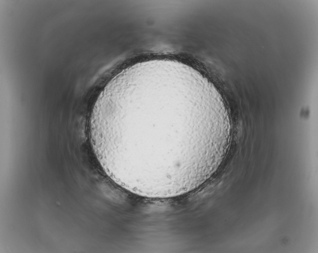 X0000091511205200709141348