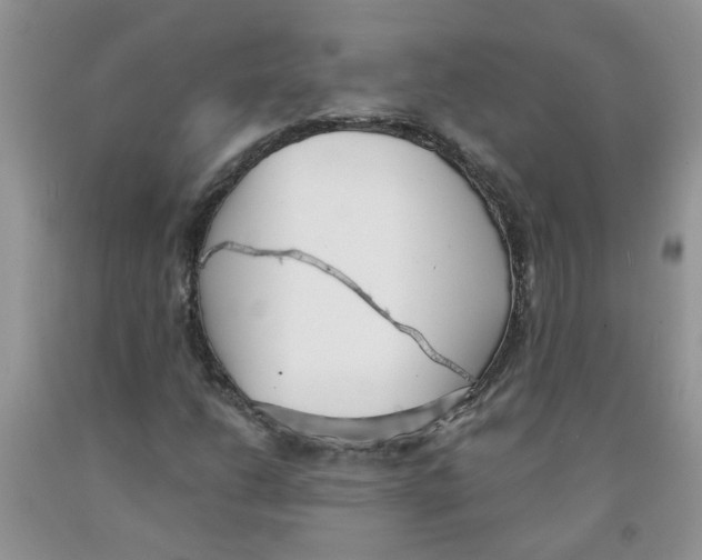 X0000091511206200709141348