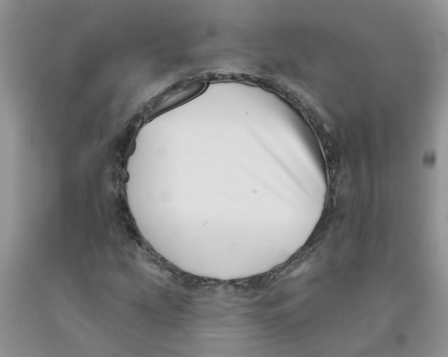 X0000091511207200709141348