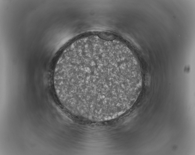 X0000091511208200709141348