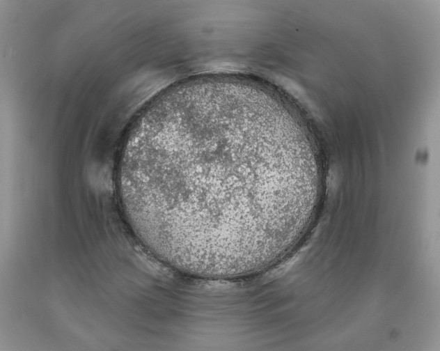 X0000091511209200709141348