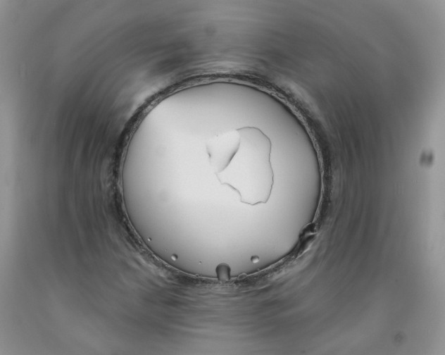 X0000091511210200709141348